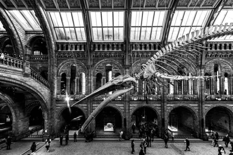 Exploring the Rich History of the United Kingdom